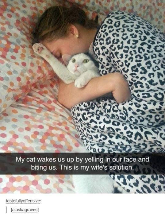 WholesomeMemes tweet media