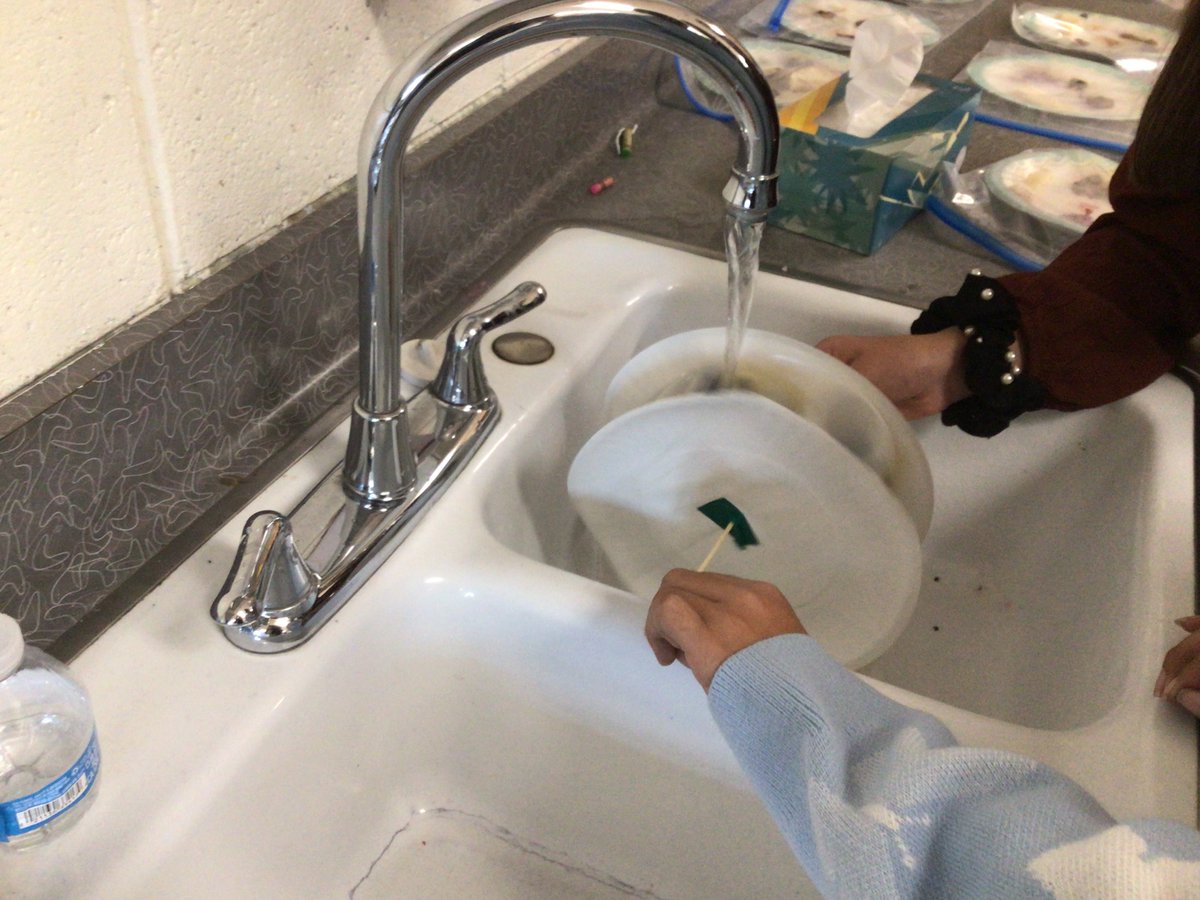 Science at Pershing and Emerson tweet media