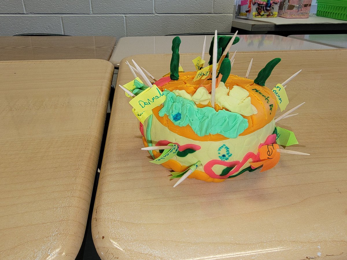 ALambert00's tweet photo. This week @ELHS_HCS Ss completed in their Integumentary 3D Skin Model Project. When faced with a challenge Students really showed their creativity and mastery of the Integumentary System. So proud!!
#HandsoninScience
#DevelopingModels
@DrKeshaJones1
@ELHS_HCS
@RWilliams_EDS https://t.co/Fxco7p1K6j