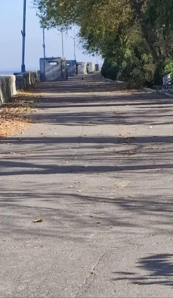 IanMatveev tweet media