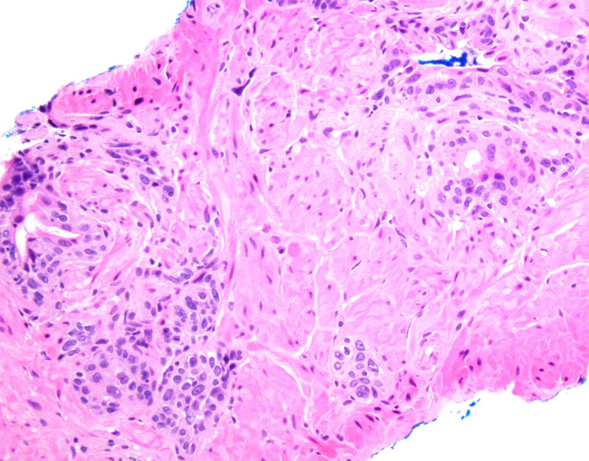 Samson W. Fine, MD tweet media