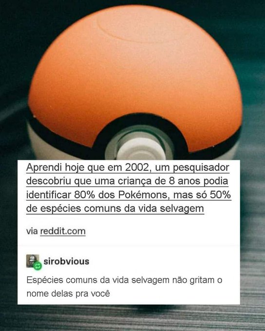 Exceto a Arara