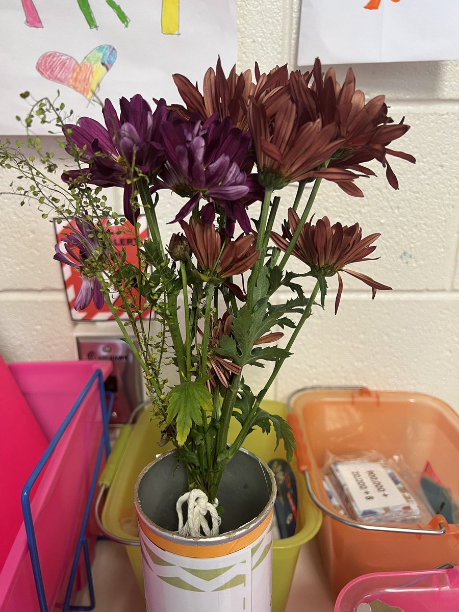 Allison LaFalce Acevedo, EdD (@acevedo_sd735) on Twitter photo Thanks to the <a href="/Skokie735/">School District 73.5</a> Garden Club, and my thoughtful students, we have fresh flowers in our classroom! Thanks to the <a href="/Skokie735/">School District 73.5</a> Garden Club, and my thoughtful students, we have fresh flowers in our classroom!
