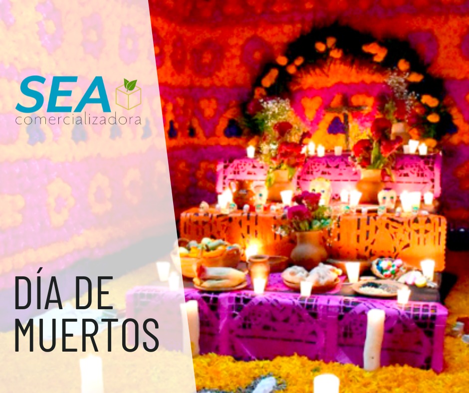 SEAcomercio's tweet image. 🎃 Este Día de Muertos aún puedes adquirir productos para esperar a tus seres queridos en el alta ¡Escríbenos!
#SEAComercio
#ConsumeLocal
@CoparmexPuebla 
@nanoprofe 
@rotarypueblare2