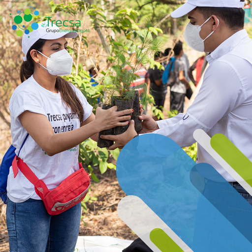 Nuestra Política de Sistema de Gestión Integrada tiene como uno de los ejes principales el cuidado del ambiente, por eso participamos en iniciativas que promueven el cuidado ambiental. 🌳 #SomosTrecsa #SomosEnergía