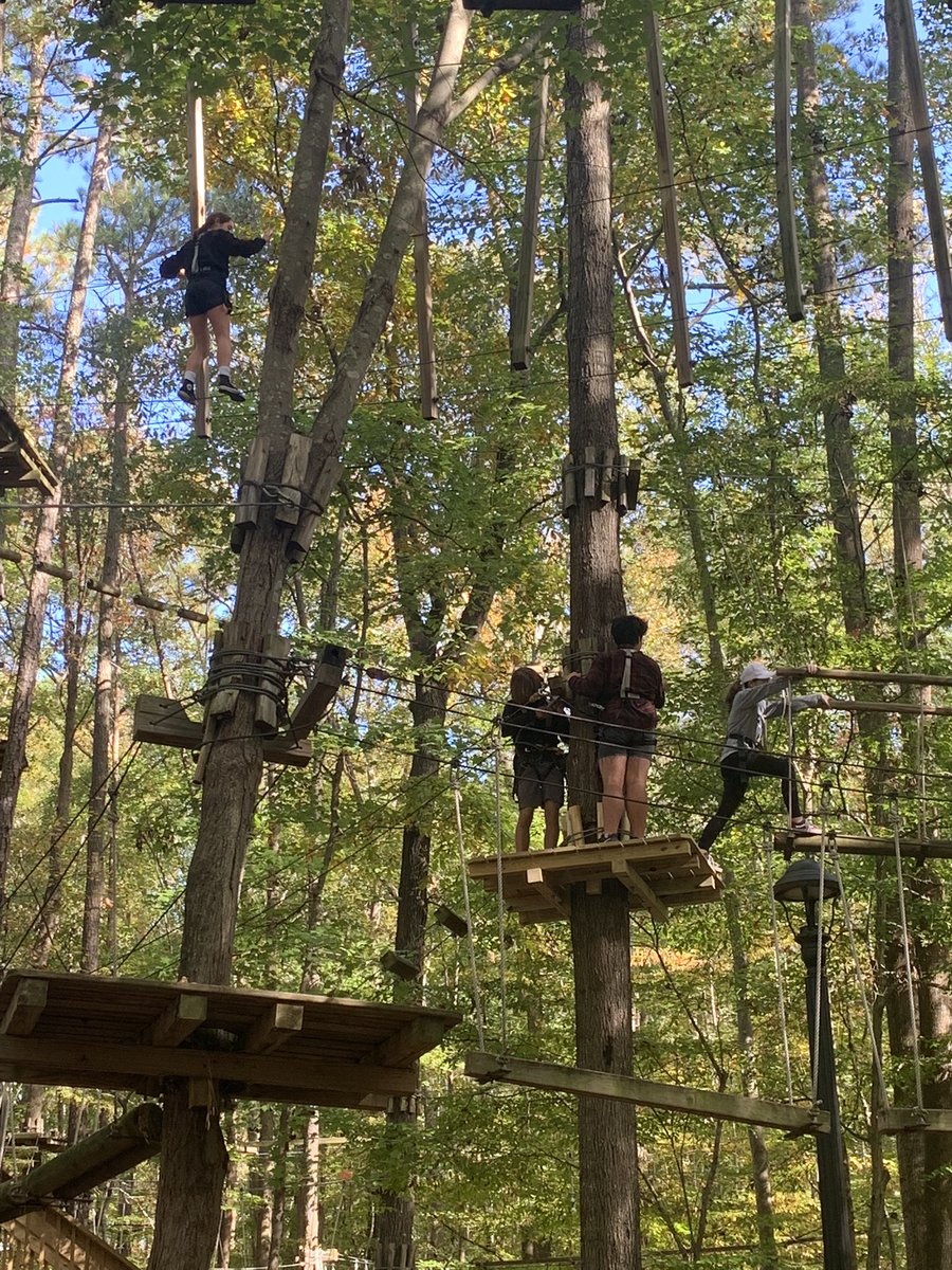 TeachlifeVB's tweet photo. @KellamHigh 9th grade Ss having a blast in the trees. Thanks to our community partner @AdventureParkVB for a great day 😊 https://t.co/lVxE8mhM8A
