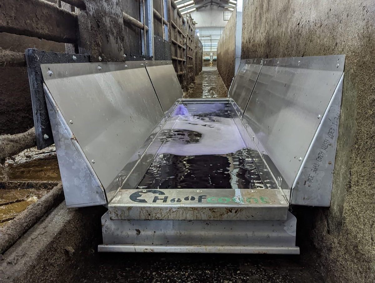 rossfourcows's tweet photo. Another @hoofcount Excel footbath installed in Devon by us. This farm is milking 980 cows 3 times a day… https://t.co/Rp7sHvhRPA