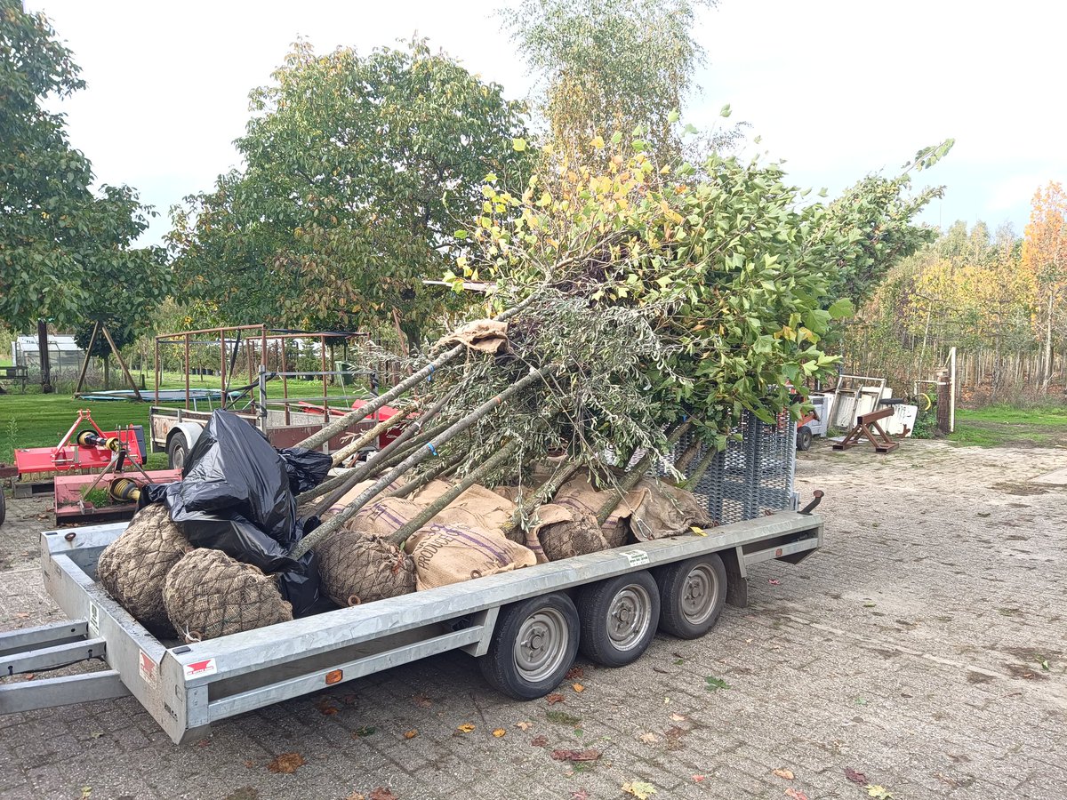 Eerste bomen van dit seizoen ook weer onderweg naar de klant.