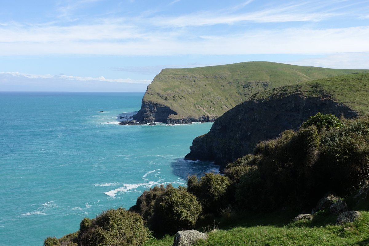 A month ago we had a great time on the Banks Peninsula Track. Super scenic, more elevation gain than I might have guessed, mercurial weather. Tiny sheep &amp; yellow gorse.

patricklam.ca/post/20221102-…