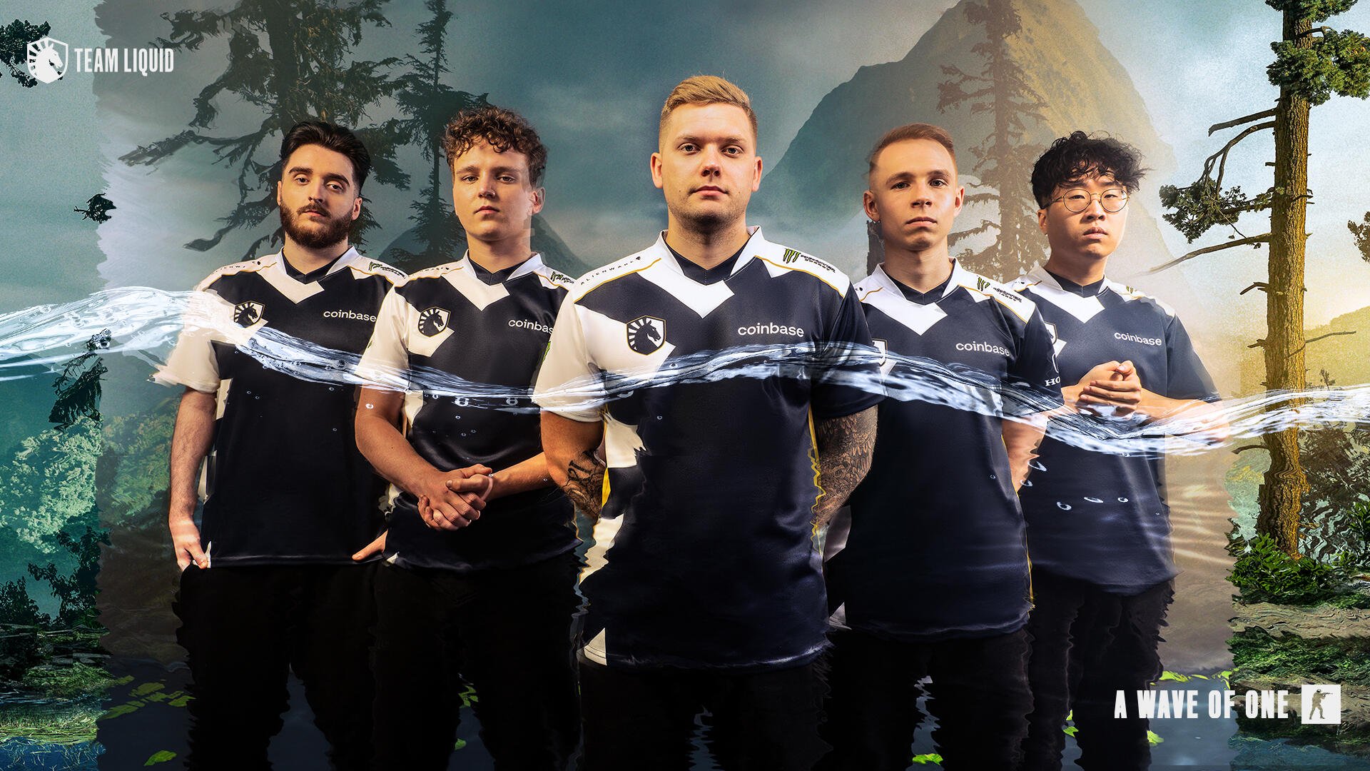 Team Liquid on Twitter: "Join the wave and represent TL on all your ...