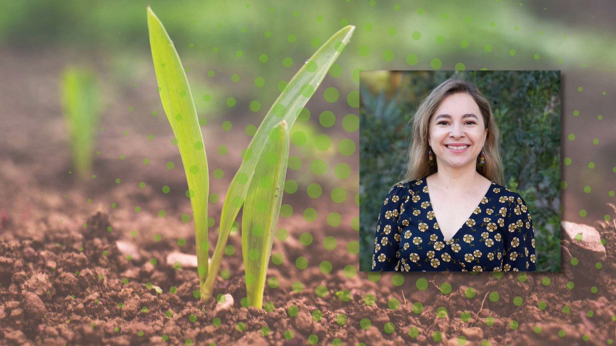 Turning the ground covering on #Mars into a plant-producing soil. With the support of <a href="/NSF/">U.S. National Science Foundation</a> and <a href="/NASA/">NASA</a>, Anca Delgado (@Dehalo_Delgado) and her team are trying to do just that. 

Read More: bit.ly/3sUyMyy

#ASUEngineering #ASUResearch #ASU <a href="/ASUBiodesign/">Biodesign Institute at Arizona State University</a> #SpaceExploration