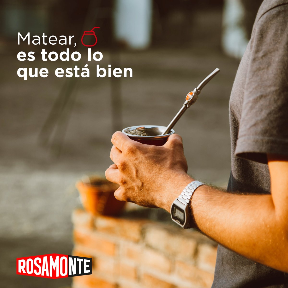 Rosamonte tweet media