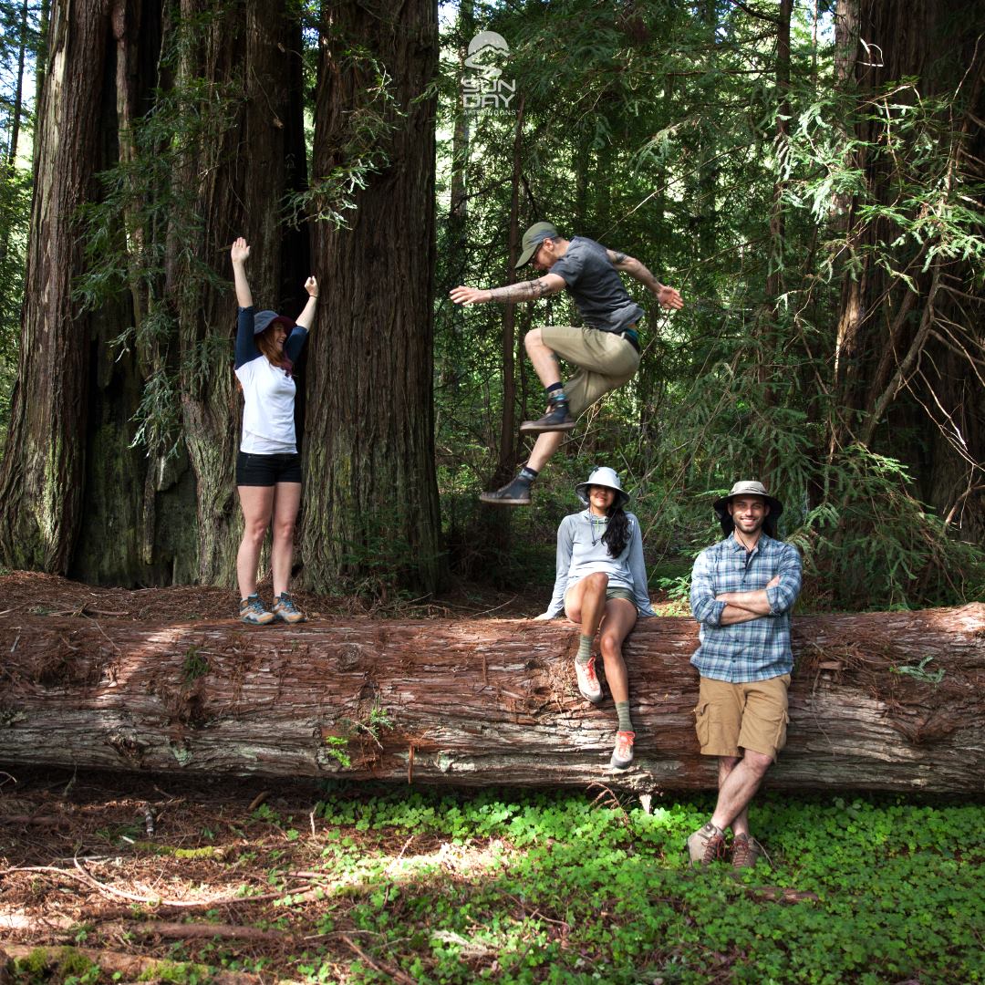 sombrerossunday's tweet image. ¿Has escuchado el dicho de “vendrán días mejores”? Pues es cierto, se llaman sábado y domingo. 📅 ☀

#ThisIsMySunday  

#NoSalgasSinTuSombrero #Sombreros #MedLight #proteccionsolarconcolor