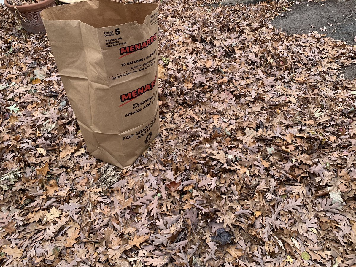 rogue_PhD's tweet photo. Postdoc life- early morning paper writing, late morning interview, early afternoon leaf management.
#urbanlife #postdoclife #fallmanagement https://t.co/EM55lU97XR
