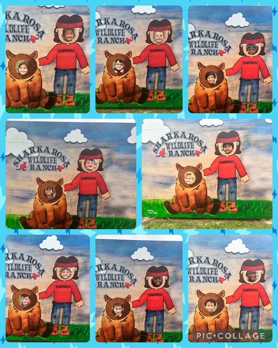 Paula Demechko tweet media