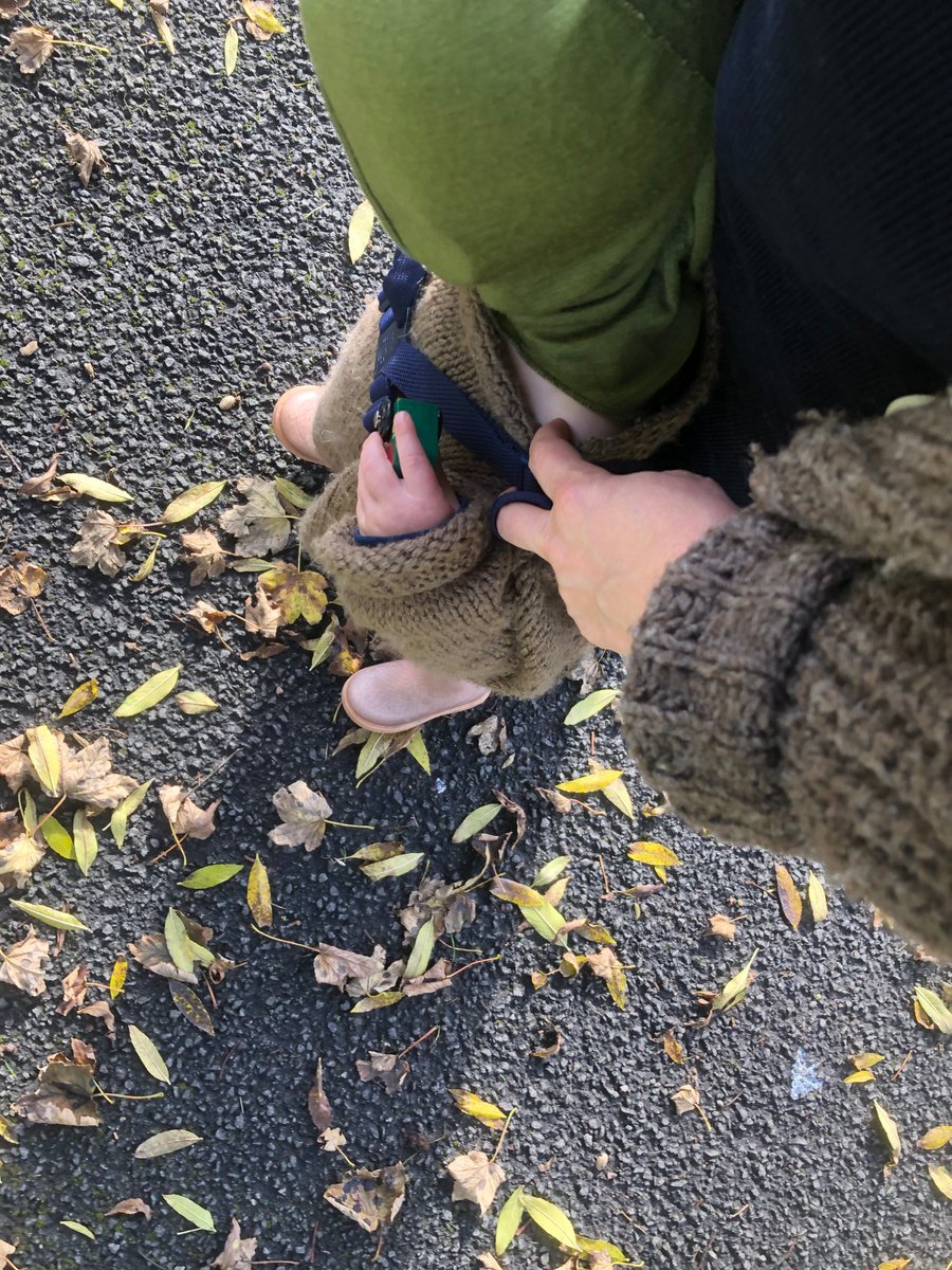 Kerri ní Dochartaigh tweet media