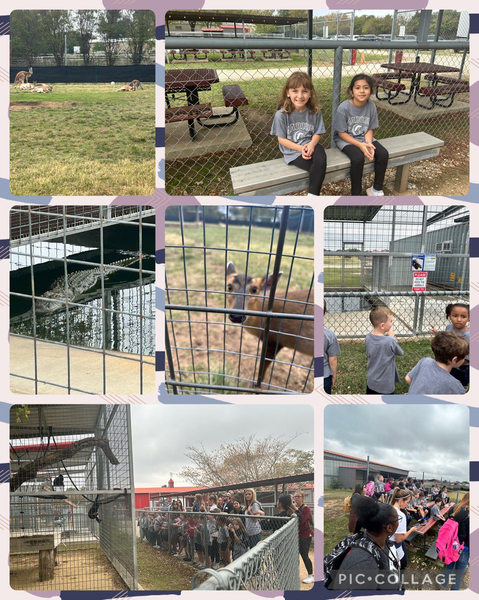 Paula Demechko tweet media