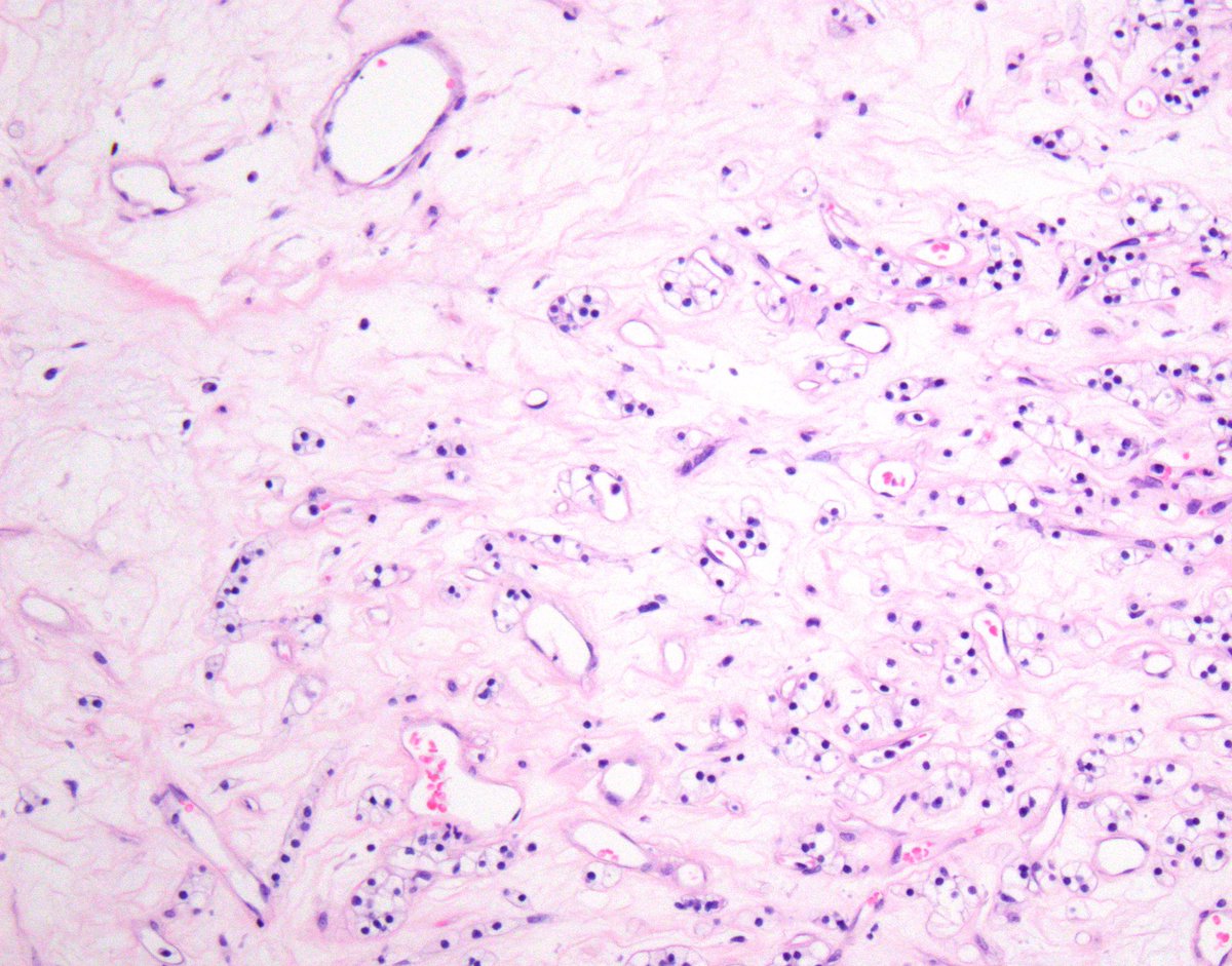 Samson W. Fine, MD tweet media