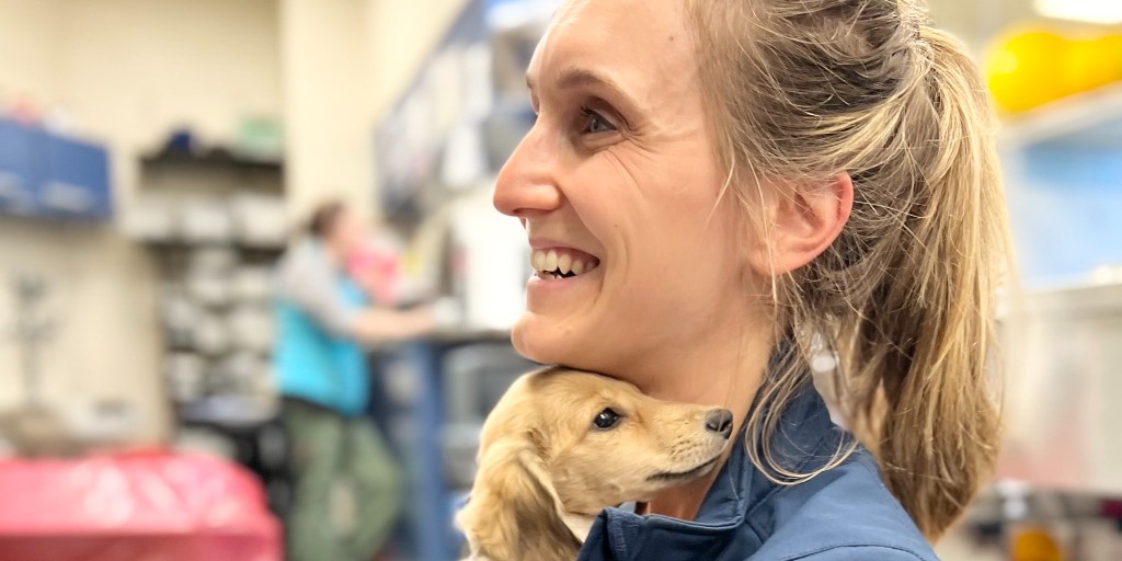 Tweet by Tufts | Cummings School of Veterinary Medicine