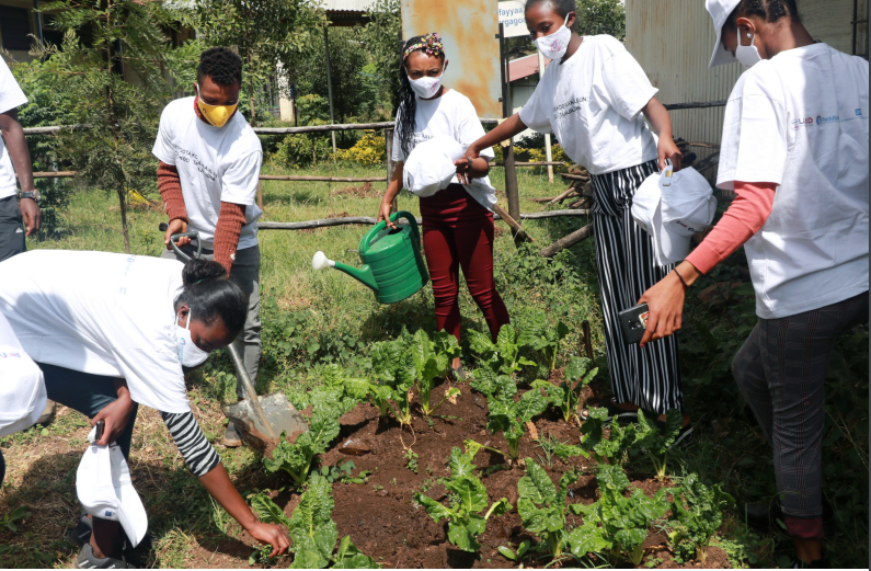 PathfinderInt's tweet photo. 🥕🌱🍅#Gardening helps build a climate-resilient environment, & supplements food at the same time.
In #Ethiopia, we are supporting peer educators teaching gardening skills at youth-friendly health facilities & maternity waiting homes.
https://t.co/Ep0b1KVKQd
#PathfinderAtCOP https://t.co/bJi9cjgbXo
