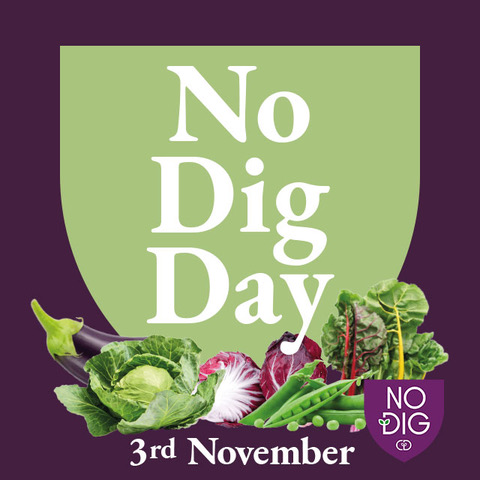plaza_genomics's tweet photo. New layer of home-made compost applied on the different beds in preparation of spring's new growing season #nodigday #happycomposting @charlesdowding https://t.co/7mVBt8Q1NB