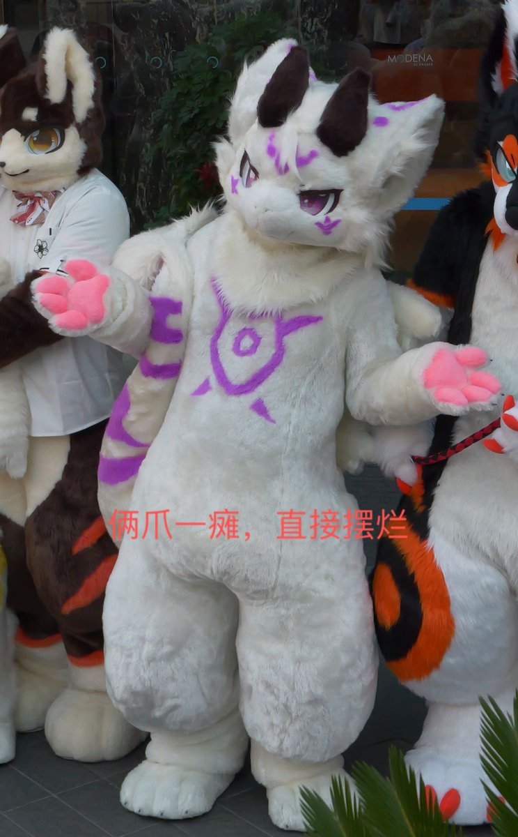 yueming7777777's tweet photo. 毛五？那是什么，我的出现是极其稀有的（叉腰，理直气壮） https://t.co/46uxCgTRSm