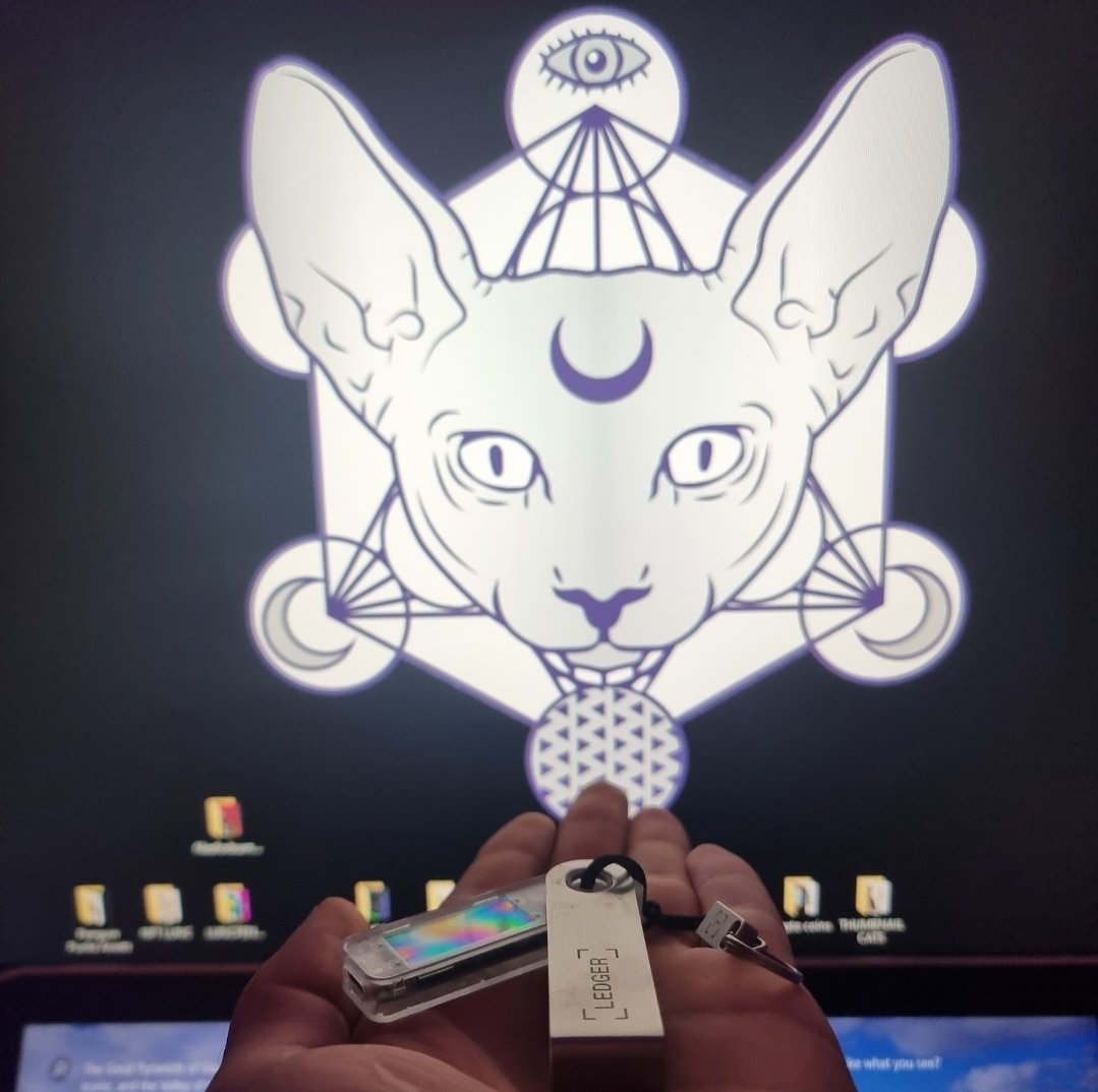 HappyCatKripto's tweet photo. We did a test vote today on a spam proposal &amp; I can confirm... we are fully operational

Huge thanks to all who are staking with us! You decide on how we vote so head on over to our TG group to vote 🗳 

https://t.co/bh4A0Q9atn

#LUNCpenguins #LUNCCcommunity https://t.co/q2t3Oejyin