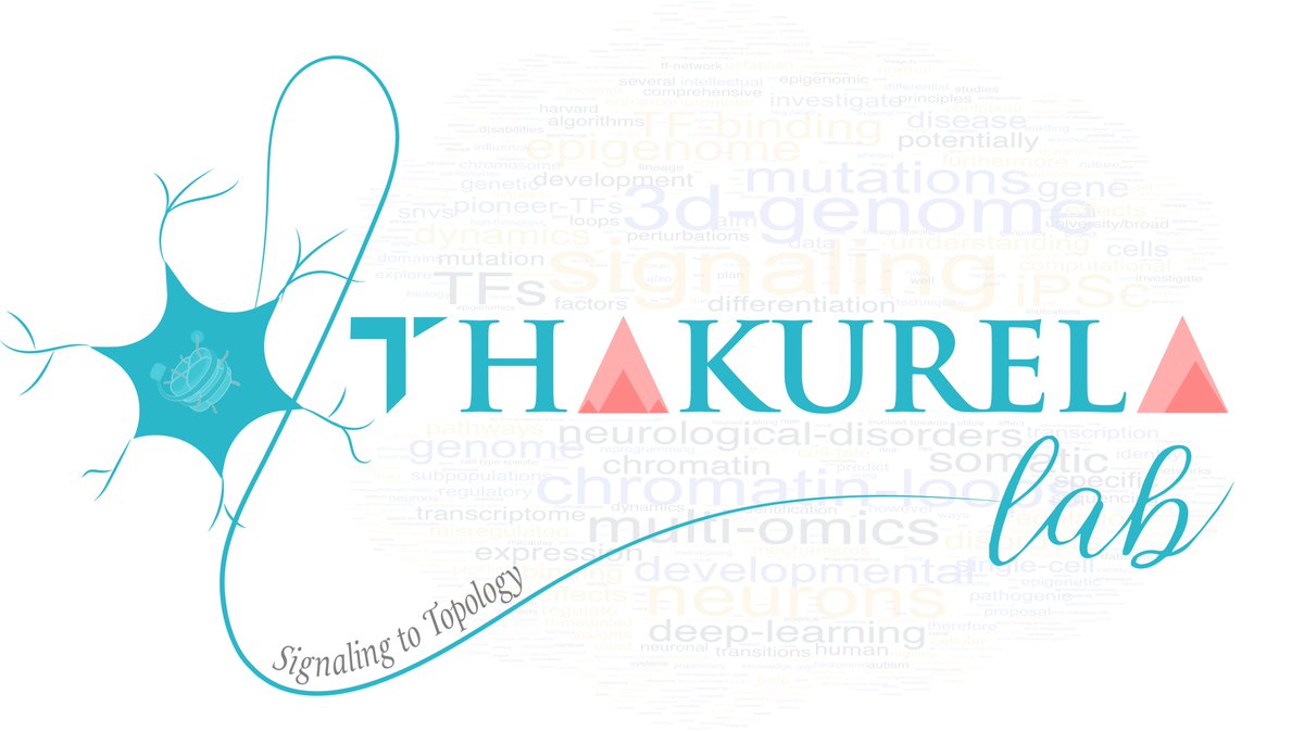 Thakurela Lab at MGH (Hiring) tweet media