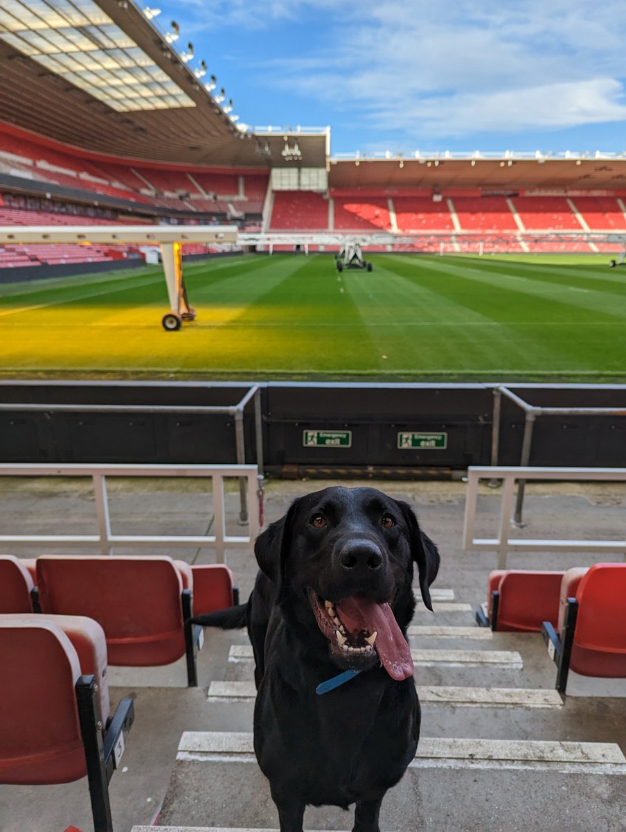 Cleveland Police Dogs (@clevepol_dogs) on Twitter photo Mayday has spent the week sharpening his Drugs, Cash and Firearms searching. Finishing with a search of <a href="/Boro/">Middlesbrough FC</a> 's stadium for a firearms, their components and ammunition. Mayday has spent the week sharpening his Drugs, Cash and Firearms searching. Finishing with a search of <a href="/Boro/">Middlesbrough FC</a> 's stadium for a firearms, their components and ammunition.