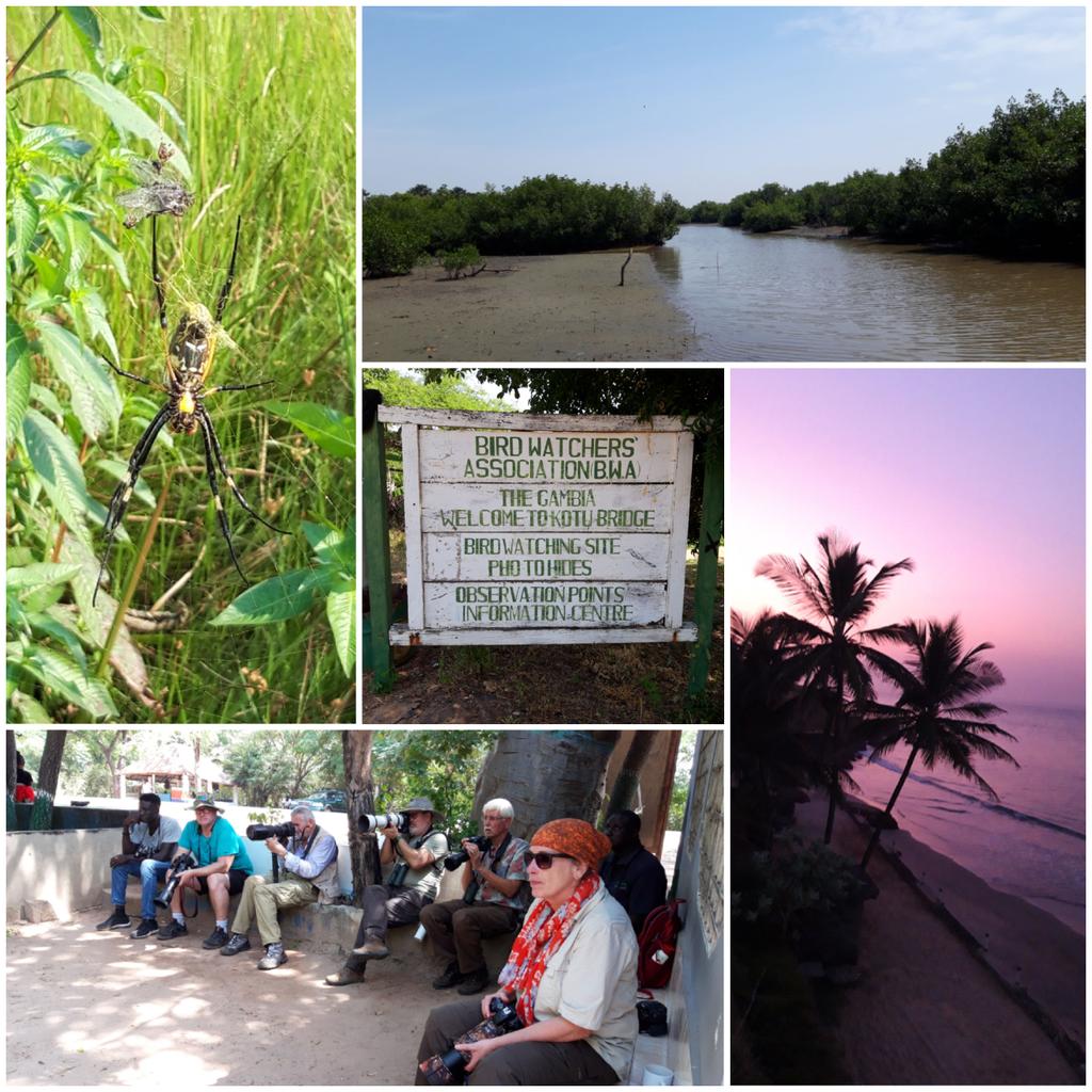 Wenda de Koning tweet media