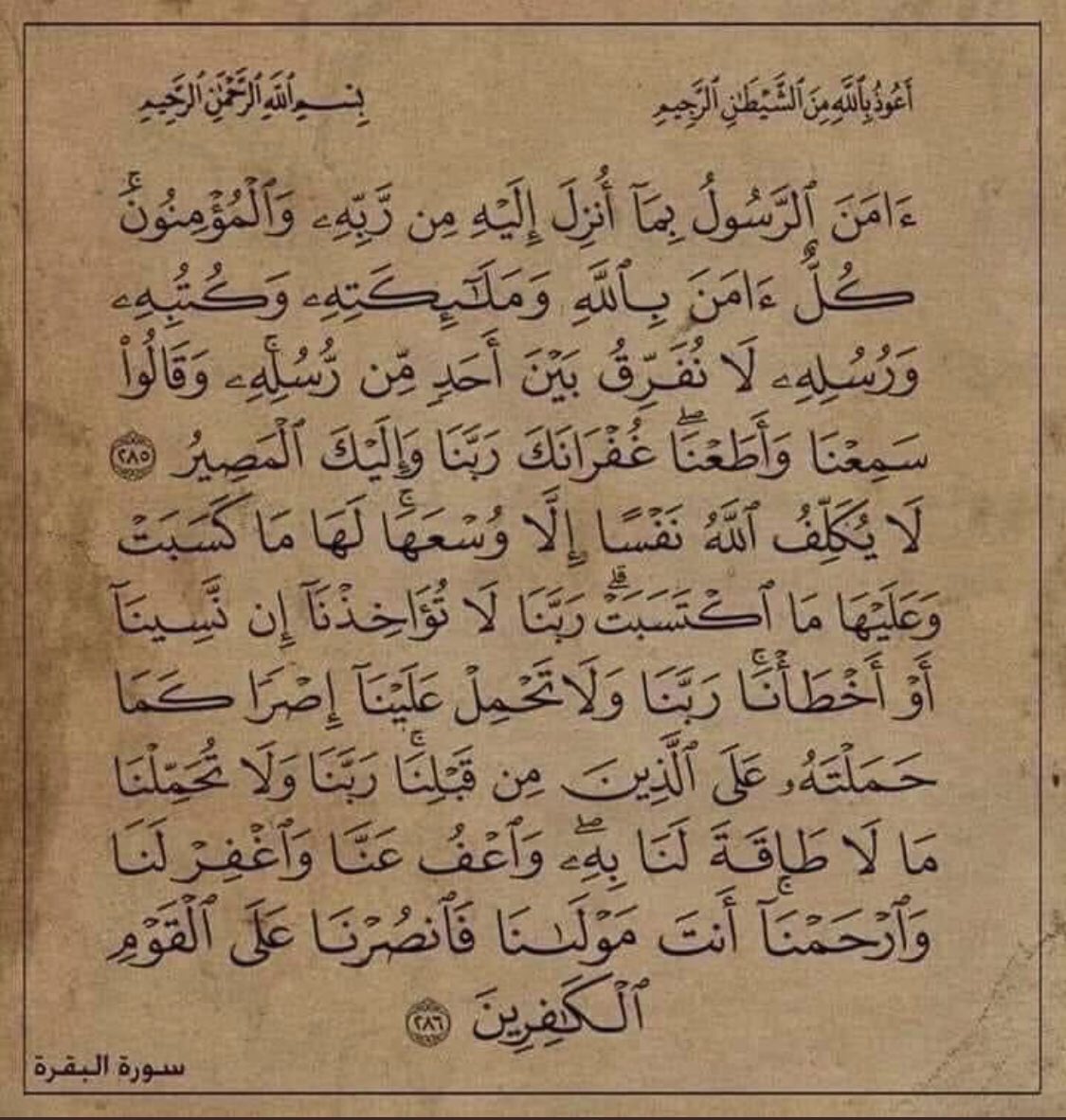 خواتيم سورة البقرة🤍.