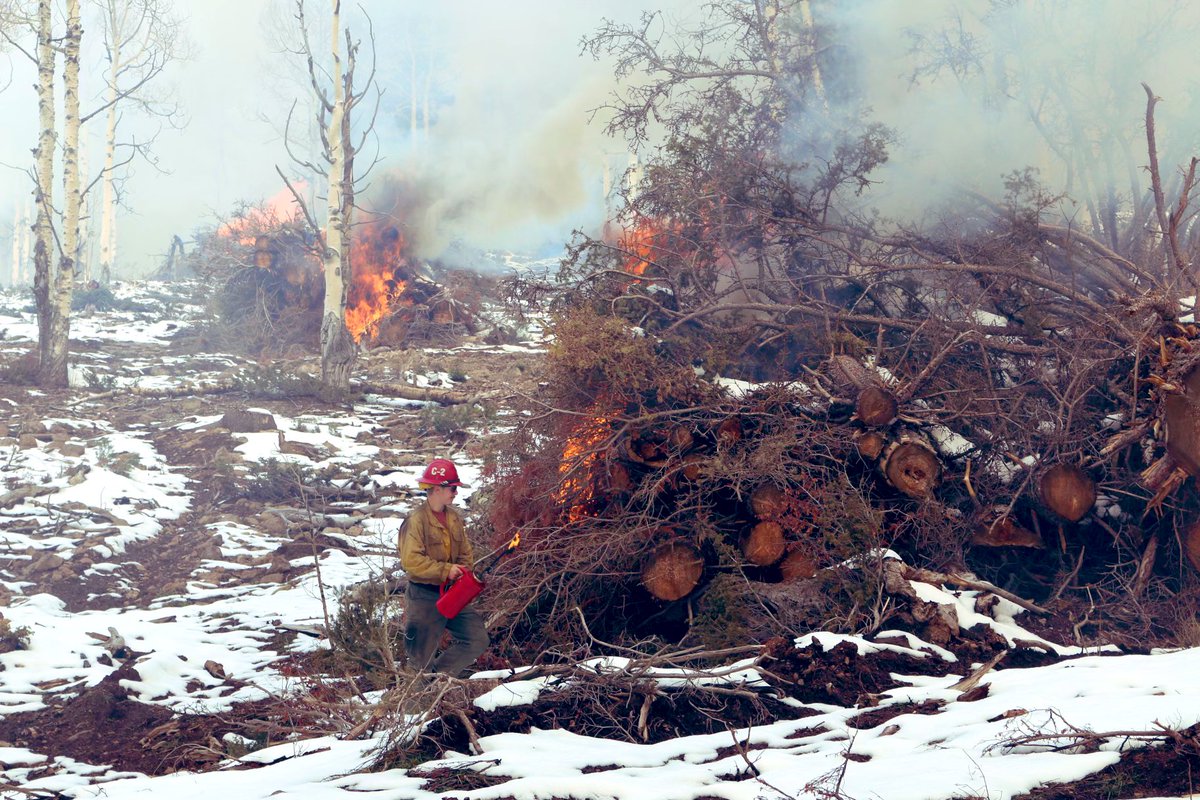 UtahWildfire's tweet photo. Over the past 10 days, #usfsFNF has burned approximately 450 acres on #BeaverSlashPilesRx. Thatβs over 60,000 piles! 2-3 years of pile burning has been accomplished with help from
#KingsRiverHotshots & prime weather conditions. #FuelsProjects #UtahSharedStewarship πΈCory Norman https://t.co/6Ld4lIpMTE