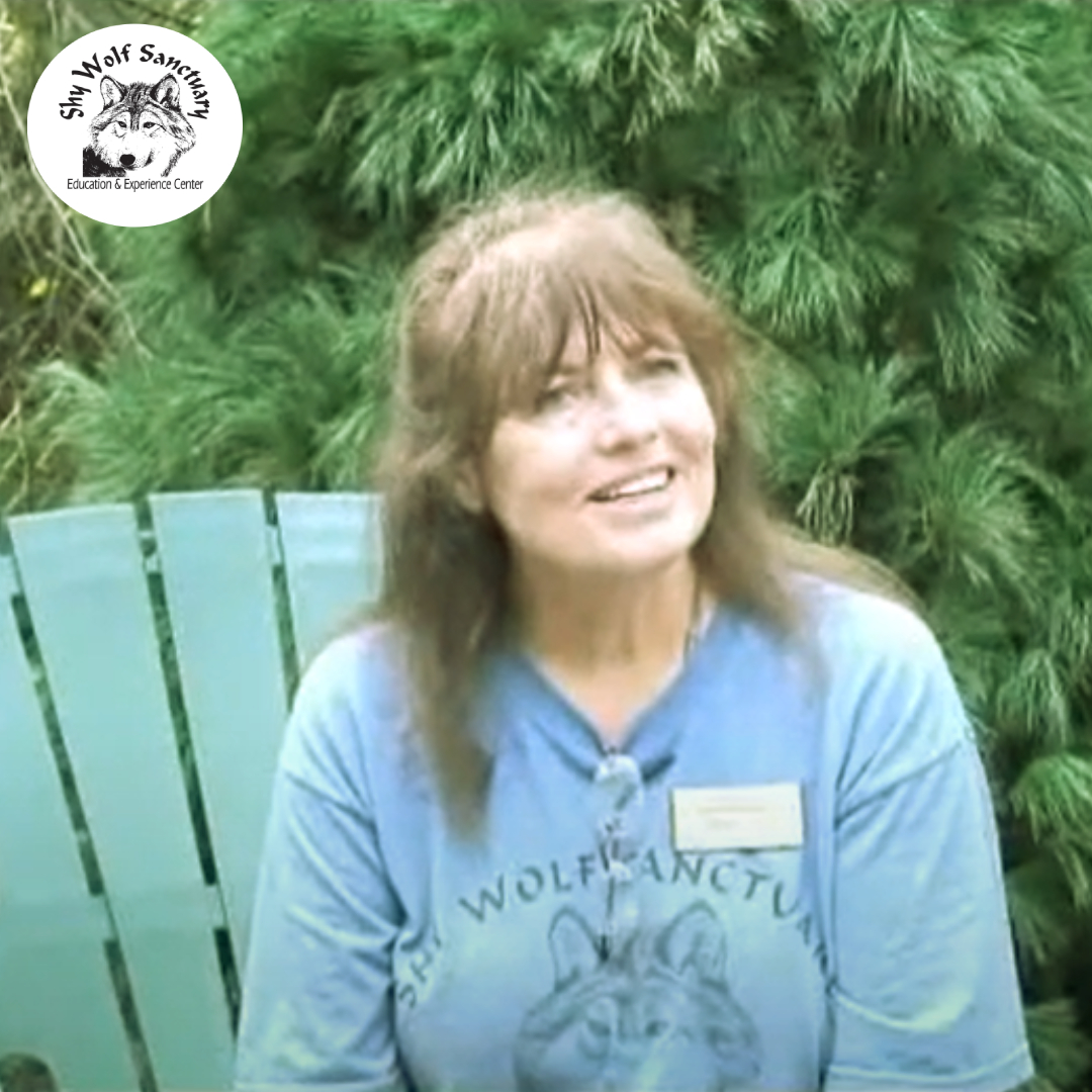 ShyWolfSanct's tweet photo. "Healing Hearts Program is all about the heart, purpose - incredible purpose." Nancy Smith, Shy Wolf Sanctuary Founder https://t.co/v2hbNIcrhh
#ShyWolfSanctuary #SWS #SWFL #Florida #Naples #NancySmith https://t.co/ExbsrihG7h