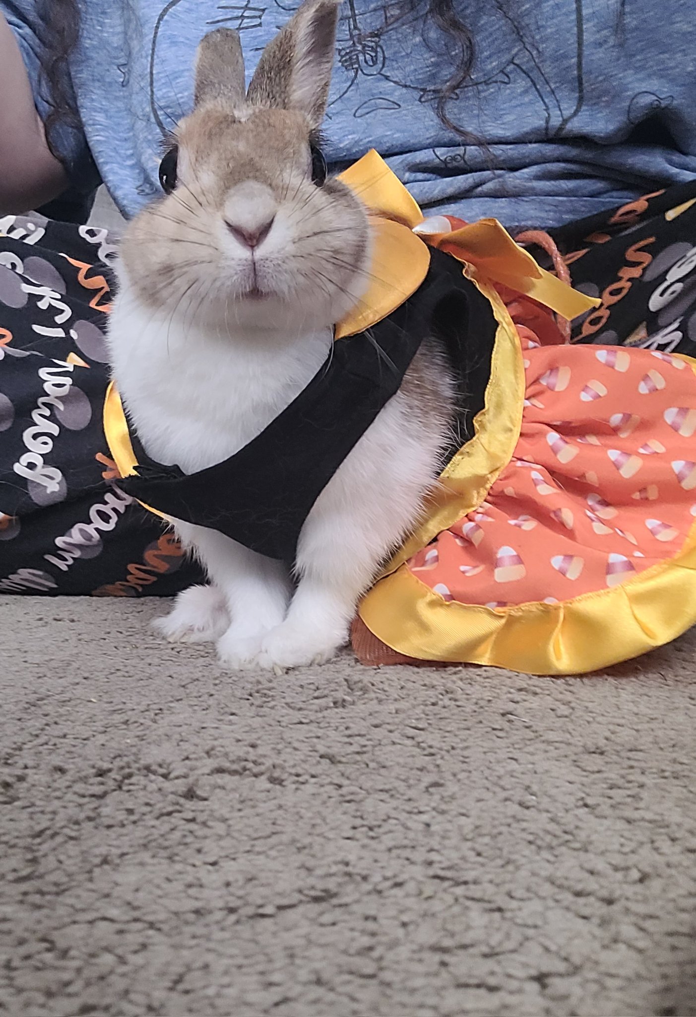 Ushiji🥛Dairy FULL) on Twitter