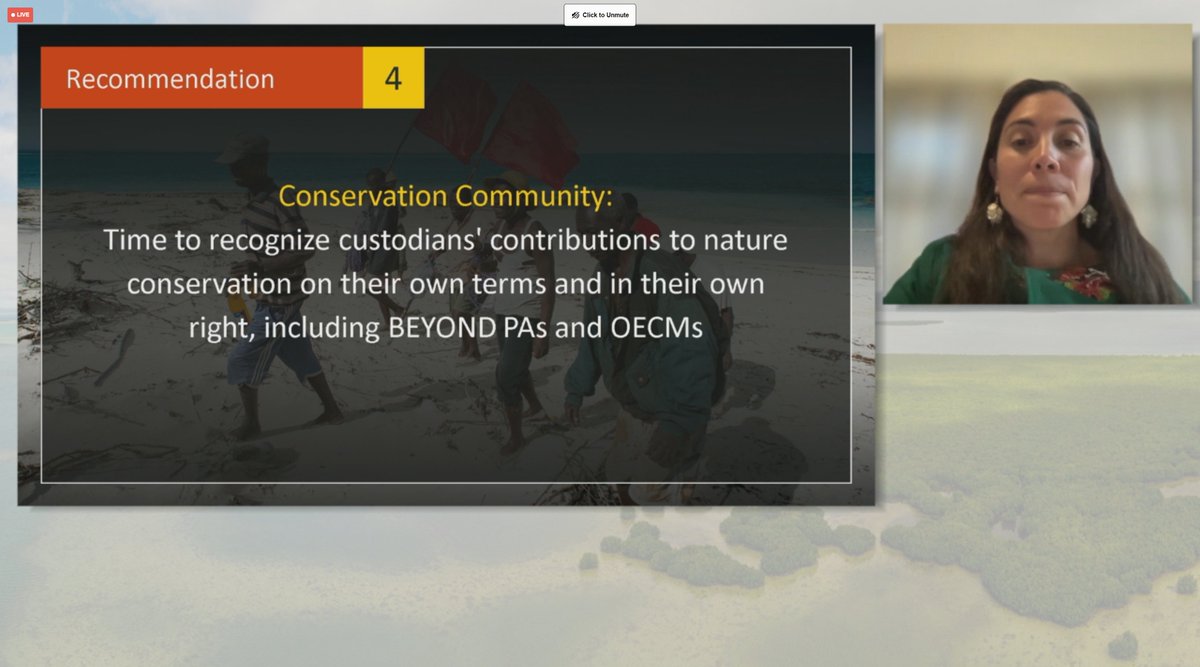 Jonas Geldmann (@jgeldmann) on Twitter photo Ameyali Ramos sharing four key recommendations from <a href="/ICCAConsortium/">ICCA Consortium</a> at the #wwffuller symposium
1) Support the people living with nature, 2) Goverments capacity to respectfully enage, 3) Funders and 4) conservation communities need to respect and recognize local peoples Ameyali Ramos sharing four key recommendations from <a href="/ICCAConsortium/">ICCA Consortium</a> at the #wwffuller symposium
1) Support the people living with nature, 2) Goverments capacity to respectfully enage, 3) Funders and 4) conservation communities need to respect and recognize local peoples