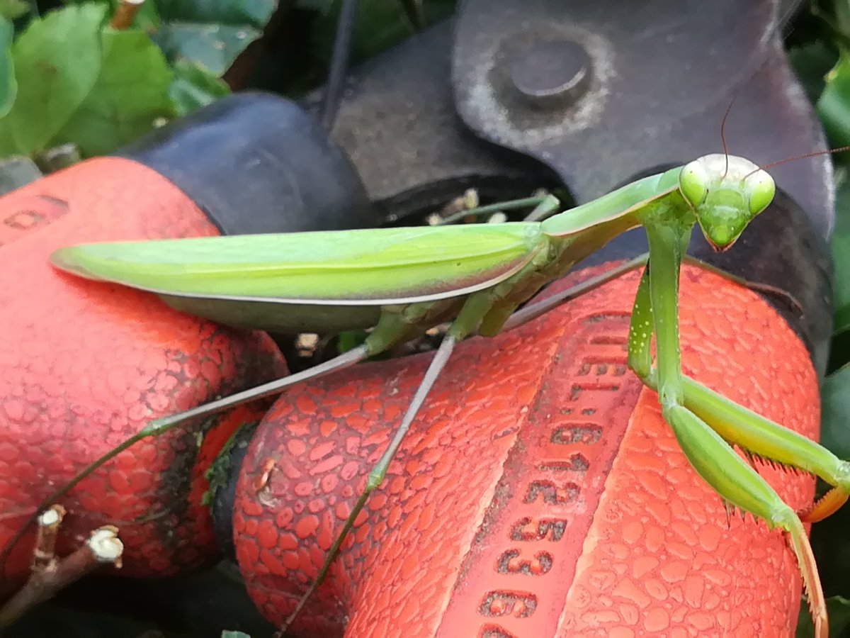 vay arkadaş😊 (@enko_52) on Twitter photo 