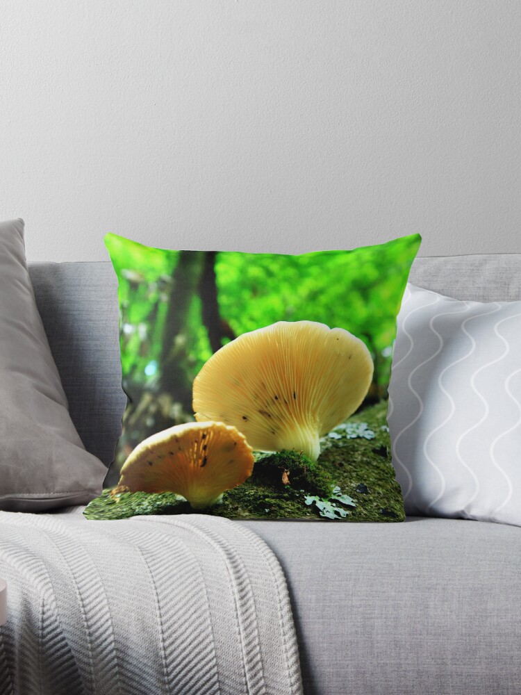 #PillowOfTheDay 'Forest Fungi' - because it's fungi season :)

Get it:
redbubble.com/i/throw-pillow…

#BuyIntoArt #ShopEarly #pillow #fungi #photography #TwitterNaturePhotography #mushroomtwitter #Mushroom #mushroomphotography #fungiphotography #pilzliebe #pilzfotografie #mushroomlover