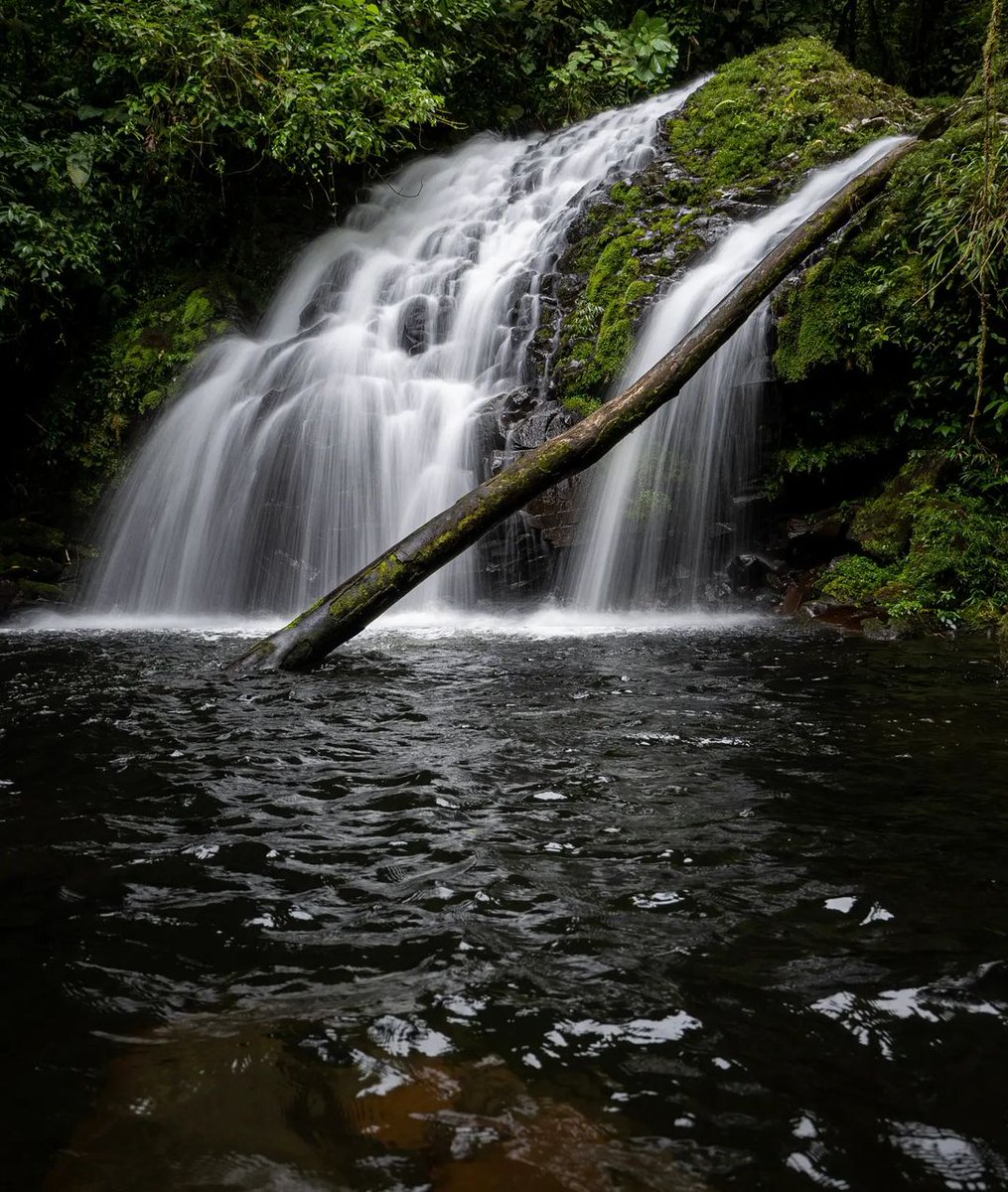 Let your cares fall away and immerse yourself in the tranquil waters of Costa Rica. 🌊

📍: Costa Rica

📷 : josdrifter