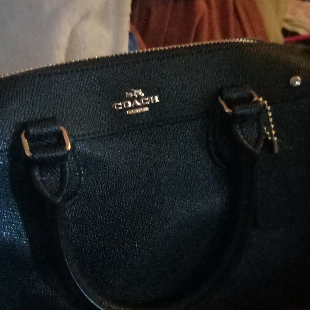 SugarBabeMari's tweet photo. #coach
#purse 
#luxurious https://t.co/QSayFtyRVW
