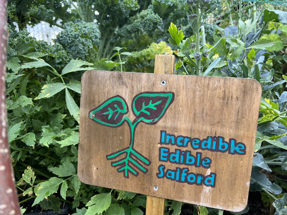 A big thank you to @makeinsalford team. I had a lovely morning making the first of our @IncrEdibleSal signage for Seedley Pavilion community cafe and gardens at Buile Hill Park. Slate kindly donated by @Kimpton.