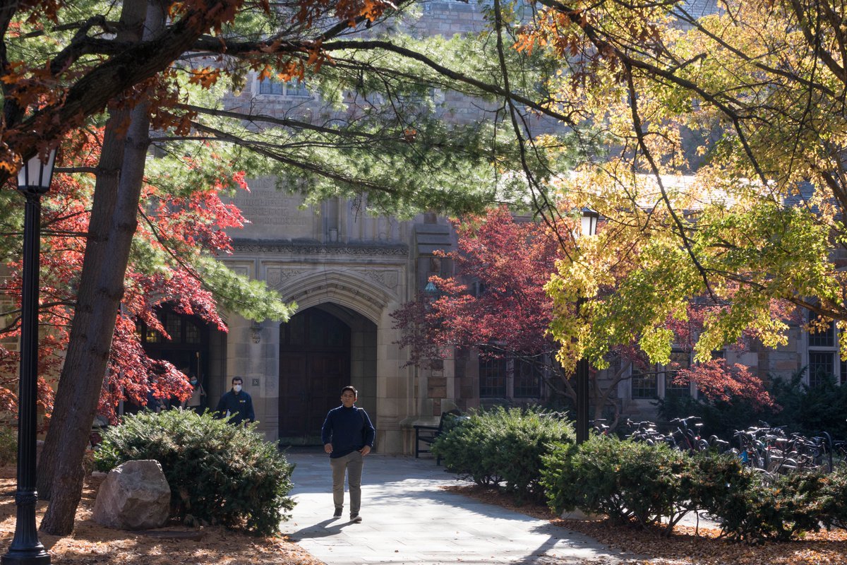 UMichLaw's tweet photo. It's 65 degrees out. 

That's it. That's the Tweet. https://t.co/Ep9YBO2Bbr