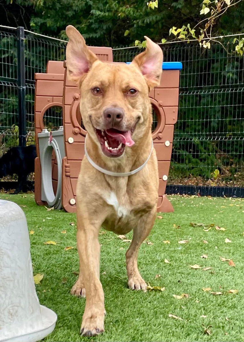 Mrs. Katie Wayne tweet media