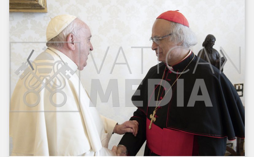 Francisco recibe al cardenal Brenes