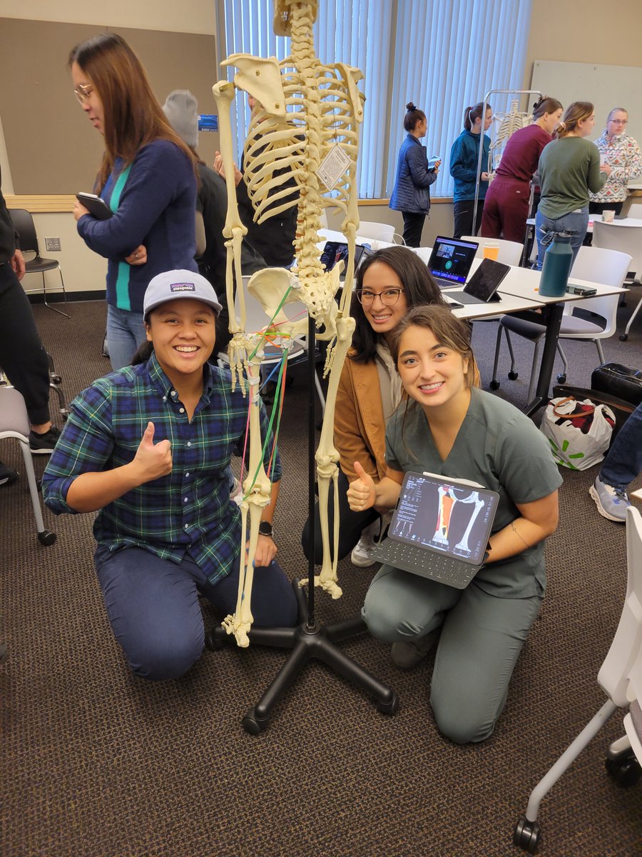 ShanHelbling's tweet photo. @WSUMedicine students using rubber bands, mounting putty, and skeletons to "bone up on" their muscle attachments of the lower limb.  #craftinganatomy #MedEd #dermatomeman https://t.co/z0fTdSFdtw