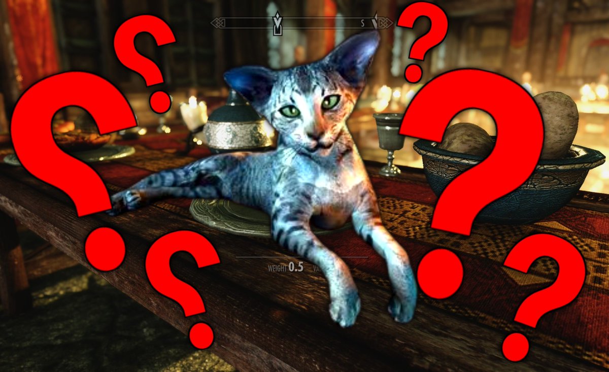 One_Dawah's tweet photo. 🧵 You see people joke about malikis and eating cats etc., sometimes these jokes can be very insulting, so finally here it is  :3

𝗪𝗵𝗮𝘁'𝘀 𝘁𝗵𝗲 𝗮𝗰𝘁𝘂𝗮𝗹 𝗺𝗮𝗹𝗶𝗸𝗶 𝗽𝗼𝘀𝗶𝘁𝗶𝗼𝗻 𝗼𝗻 𝗲𝗮𝘁𝗶𝗻𝗴 𝗰𝗮𝘁𝘀?  

Let's get to the bottom of this 🧵
#malikifiqh https://t.co/42uxLcGHXE
