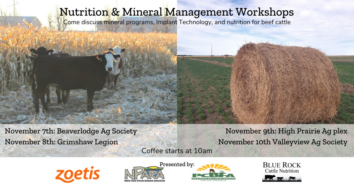 Peace Country Beef & Forage Association tweet media