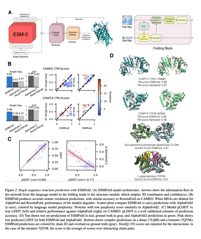 BioDecoded's tweet photo. AlphaFold’s new rival? Meta AI predicts shape of 600 million proteins | Nature
https://t.co/9BaiTbw7Kp
https://t.co/I67Nn5YhuD

#Bioinformatics https://t.co/PiZ7cjvANI