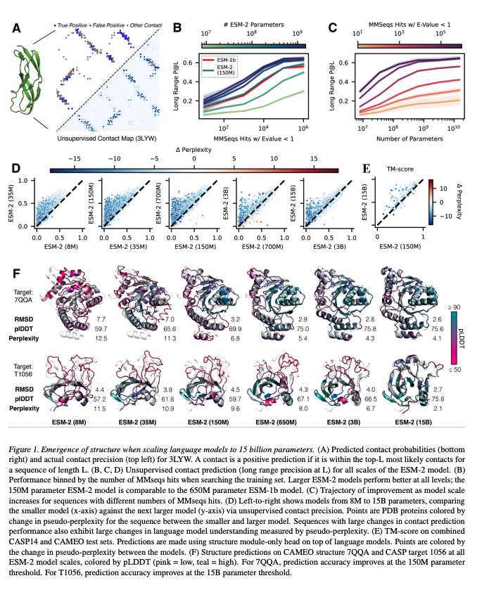 BioDecoded's tweet photo. AlphaFold’s new rival? Meta AI predicts shape of 600 million proteins | Nature
https://t.co/9BaiTbw7Kp
https://t.co/I67Nn5YhuD

#Bioinformatics https://t.co/PiZ7cjvANI