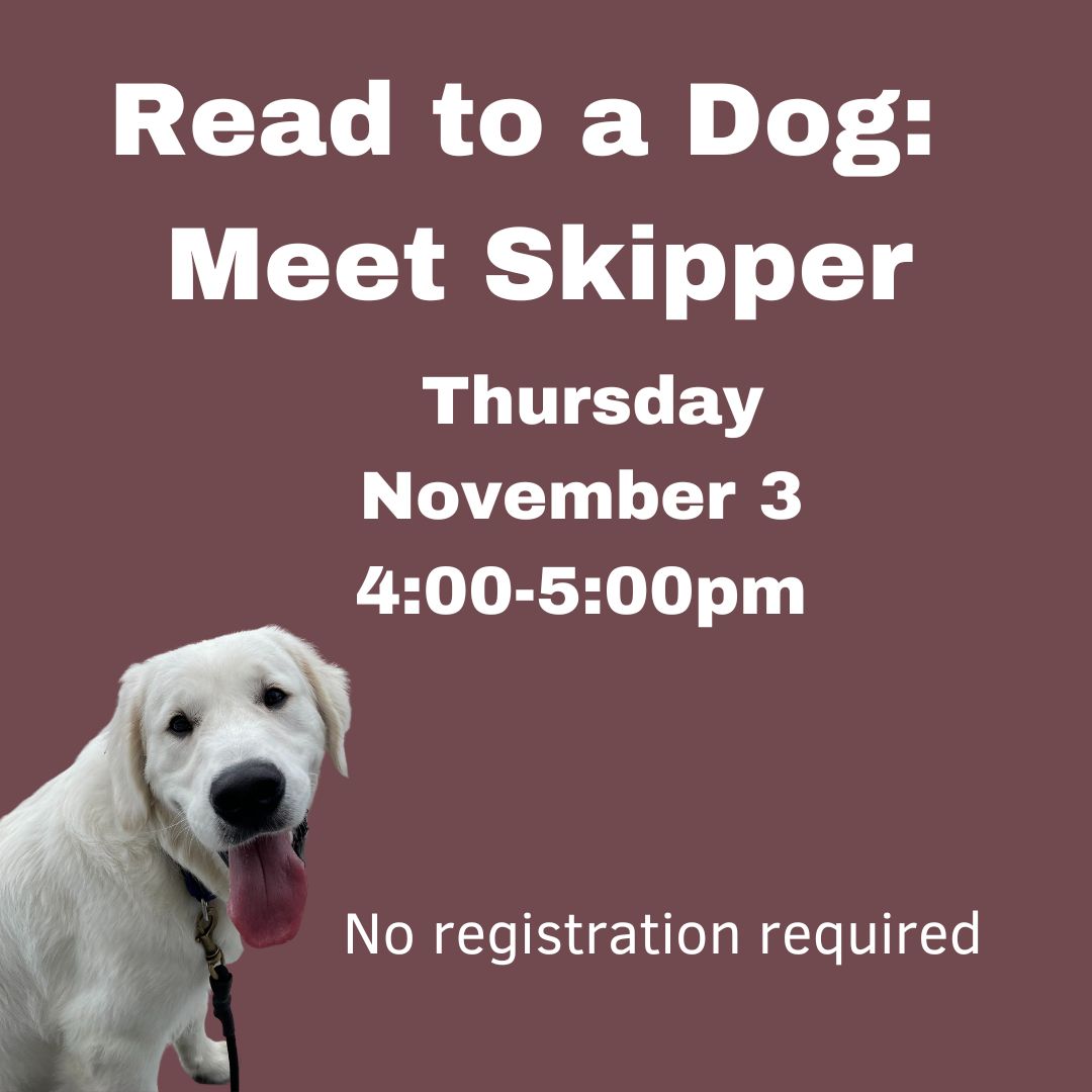 Upcoming events for kids at the #norwellpubliclibrary #norwellma norwellpubliclibrary.org/childrens-even…