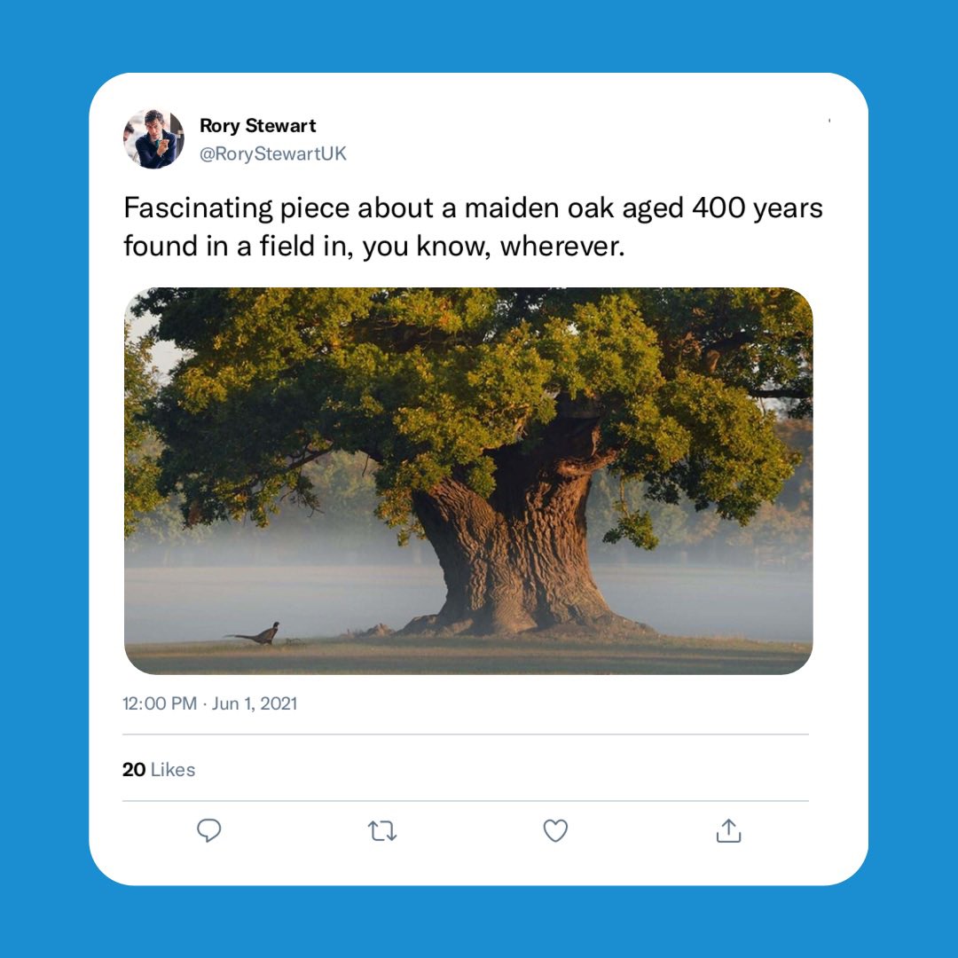 Screw the algorithm - let’s get Rory’s tweet the engagement it deserves! <a href="/RestIsPolitics/">The Rest Is Politics</a> <a href="/campbellclaret/">ALASTAIR CAMPBELL</a> <a href="/RoryStewartUK/">Rory Stewart</a> #TheRestIsPolitics